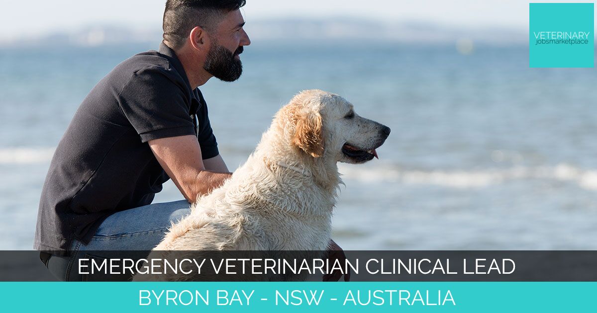 Emergency Veterinarian Clinical Lead
