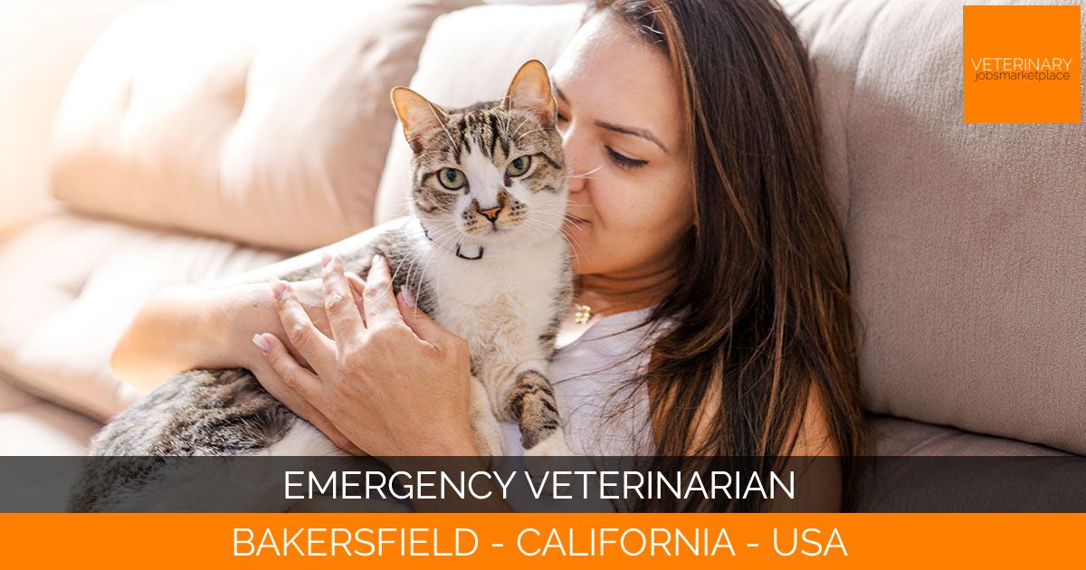 Emergency Veterinarian