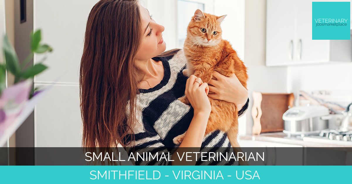 Small Animal Veterinarian