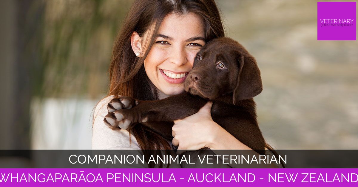Companion Animal Veterinarian