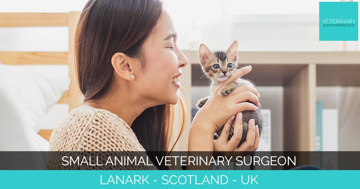 Small Animal Veterinary Surgeon