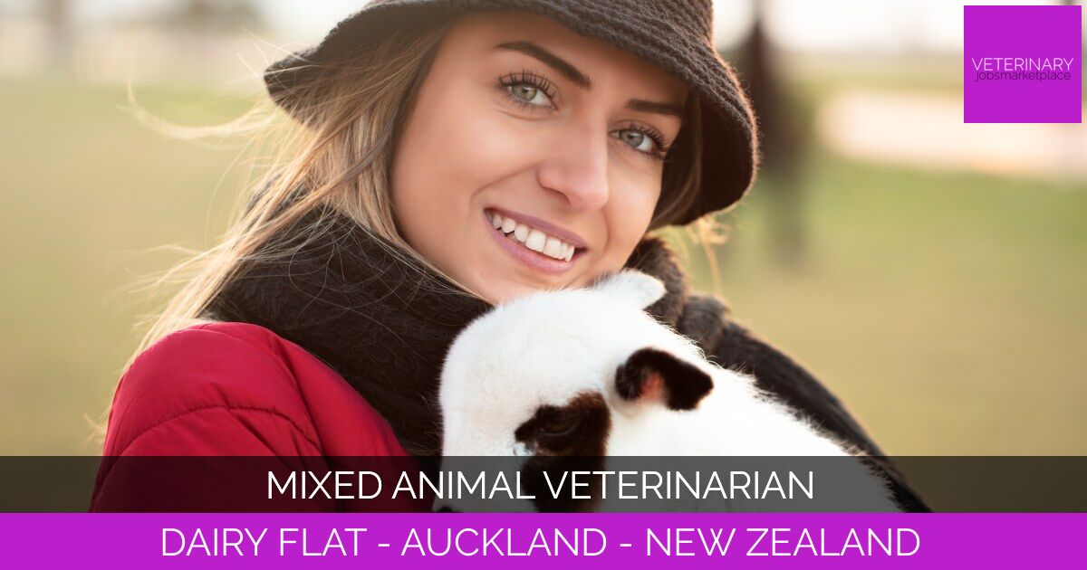 Mixed Animal Veterinarian
