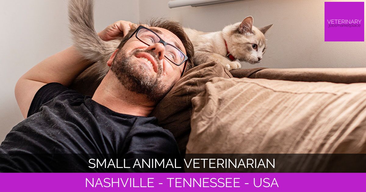 Small Animal Veterinarian