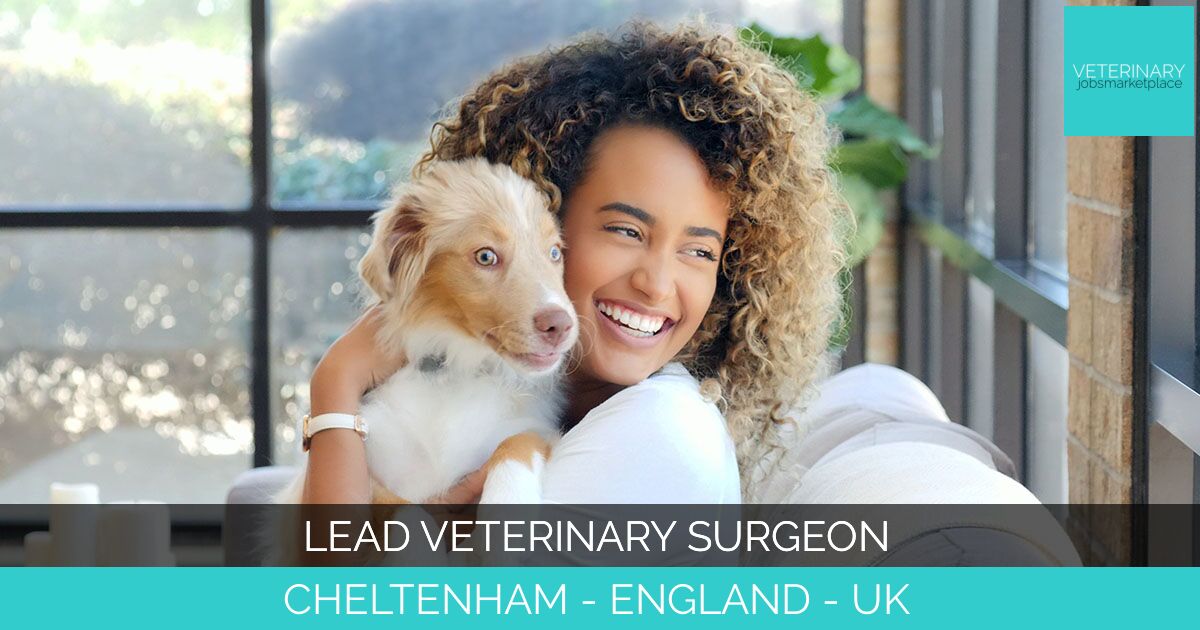 Lead Veterinary Surgeon