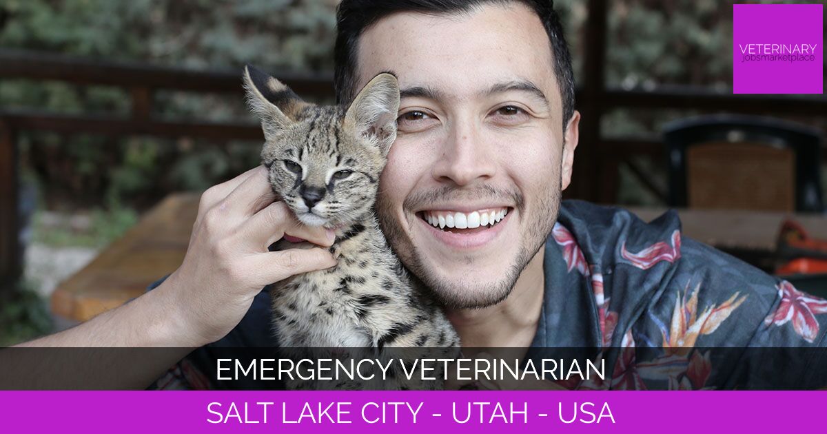 Emergency Veterinarian