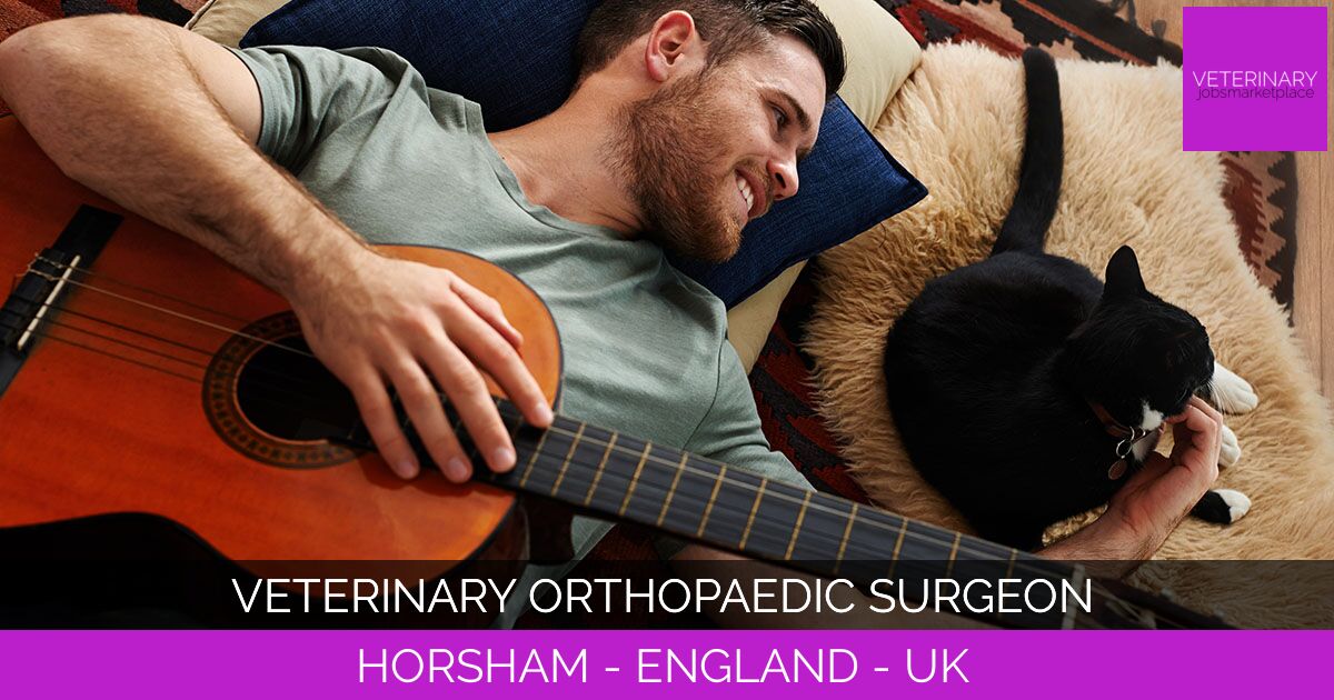 Veterinary Orthopaedic Surgeon