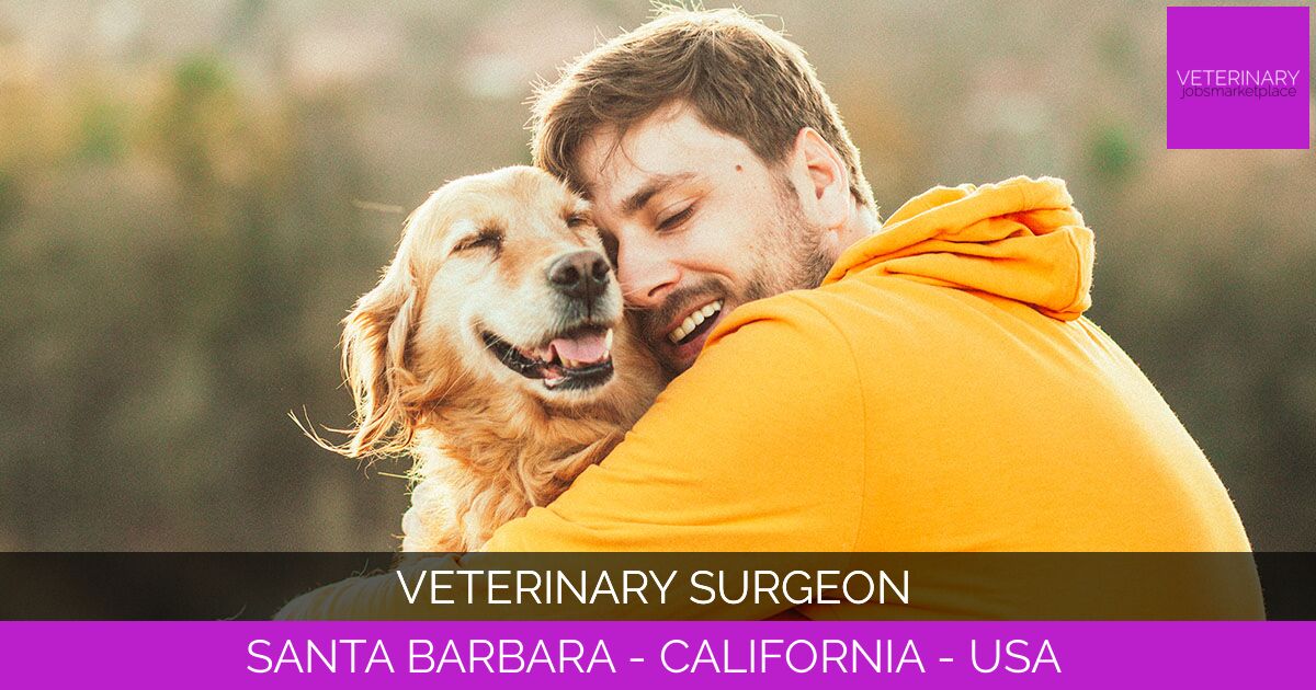 Veterinary Surgeon