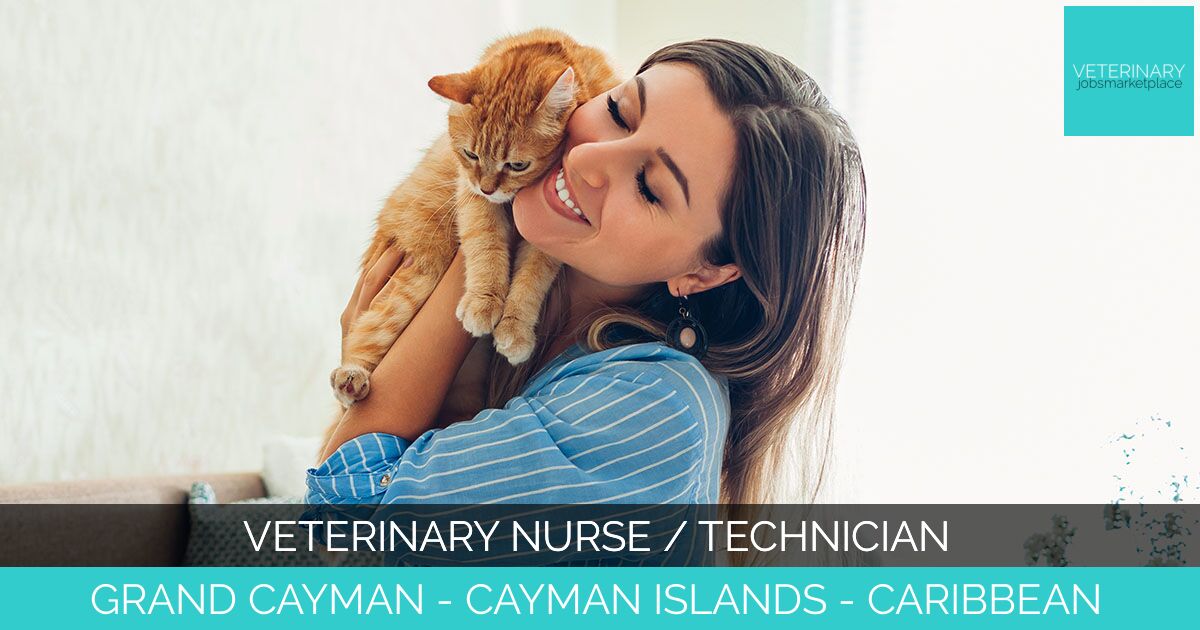 Veterinary Nurse / Technician