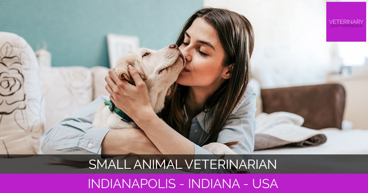 Small Animal Veterinarian