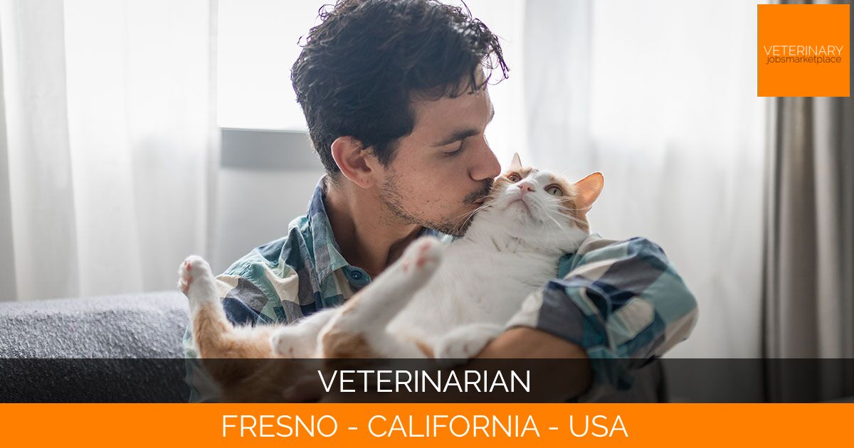 Veterinarian