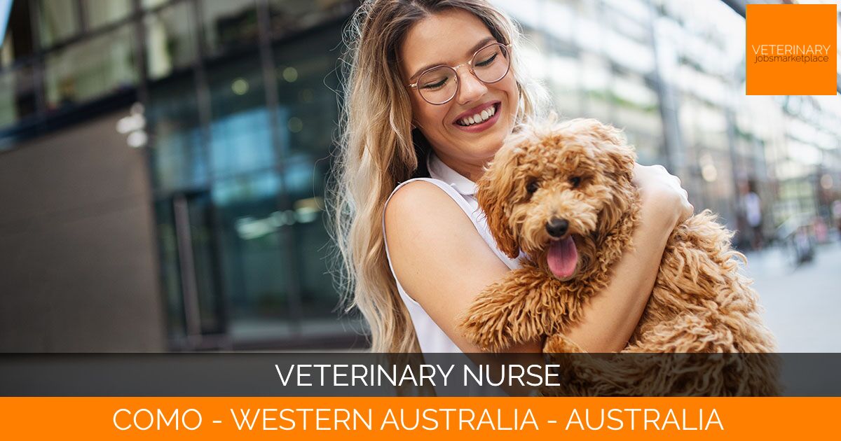 Veterinary Nurse