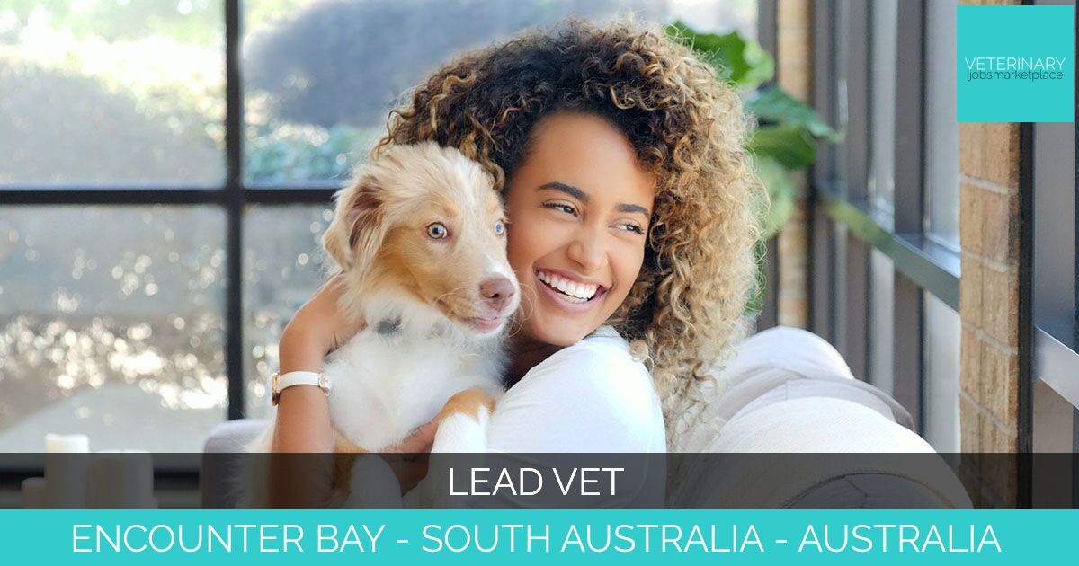 Lead Vet