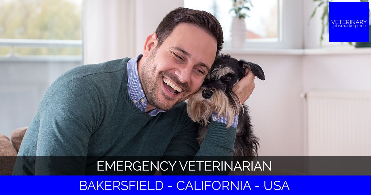 Emergency Veterinarian