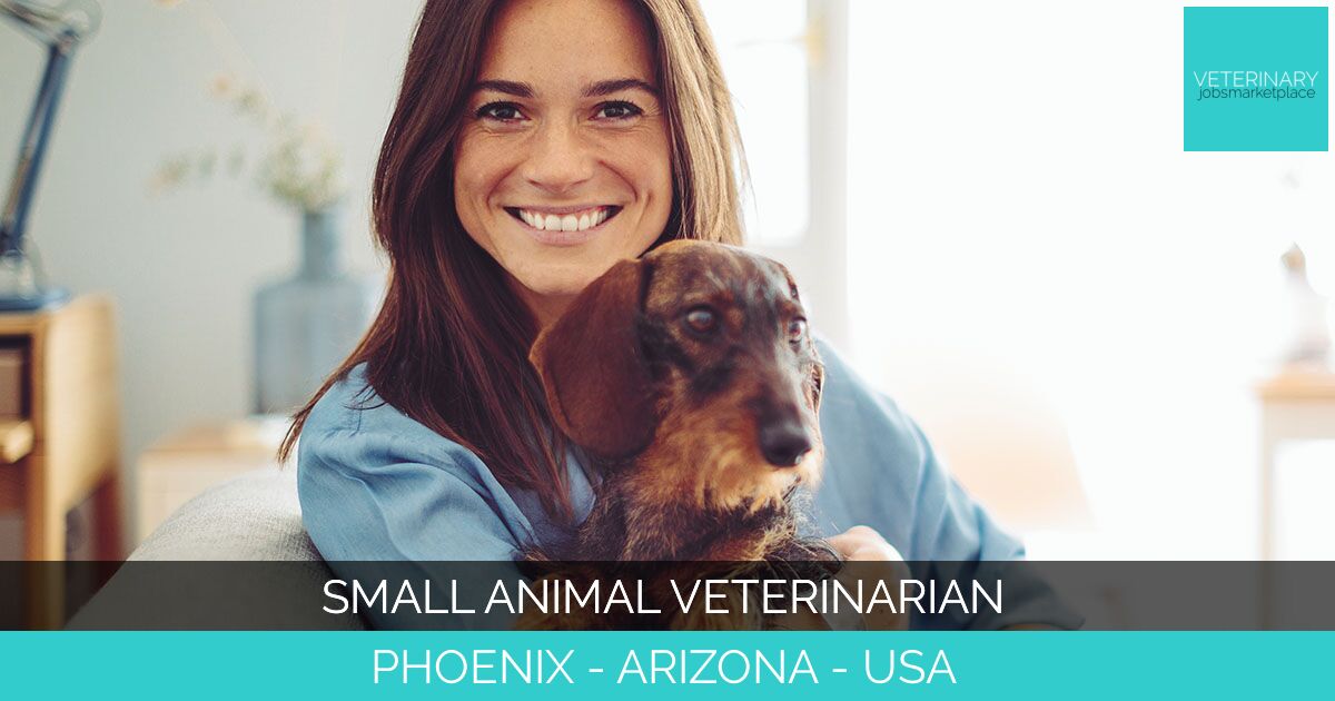 Small Animal Veterinarian