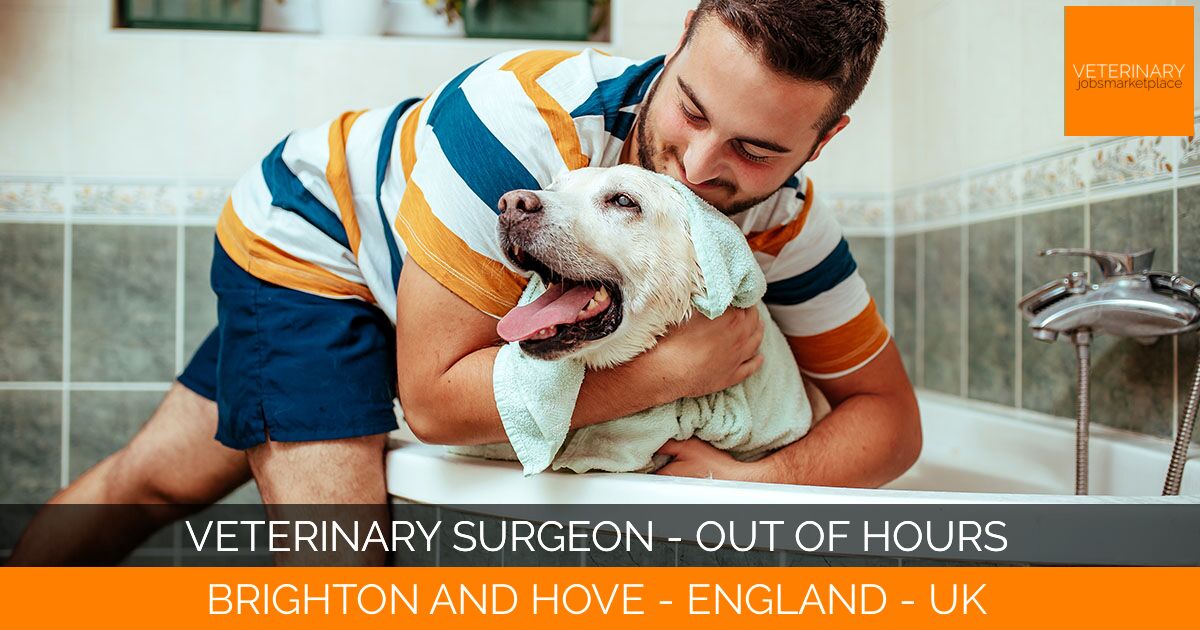Veterinary Surgeon - Out of Hours