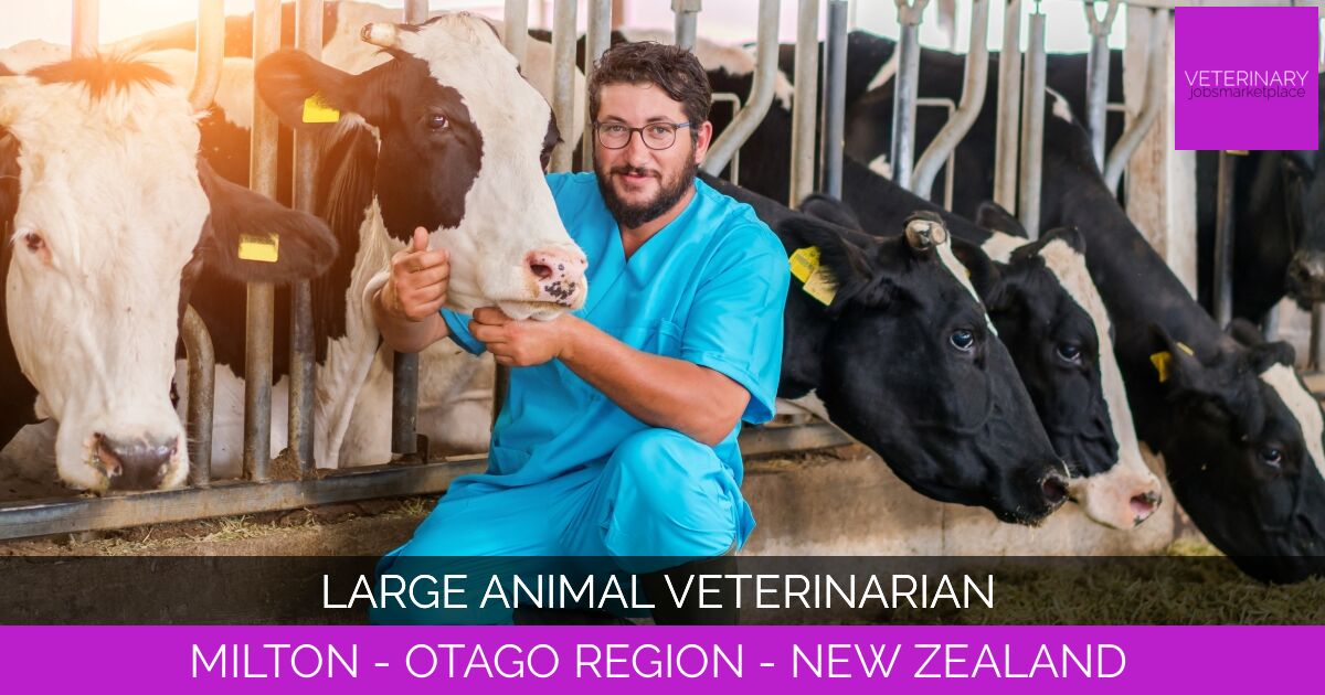 Large Animal Veterinarian