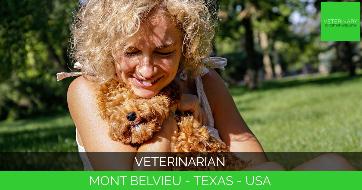Veterinarian