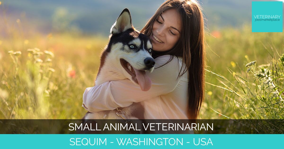 Small Animal Veterinarian
