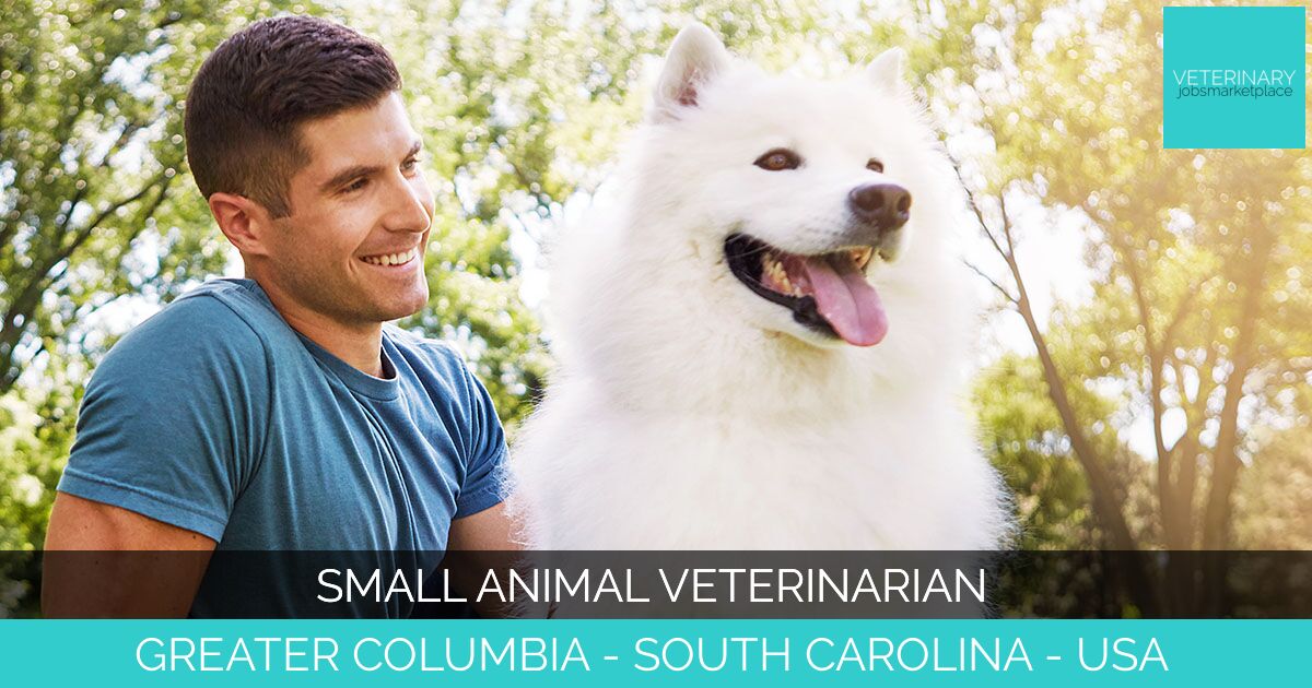 Small Animal Veterinarian
