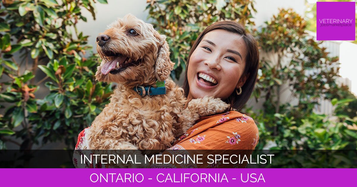 Internal Medicine Specialist
