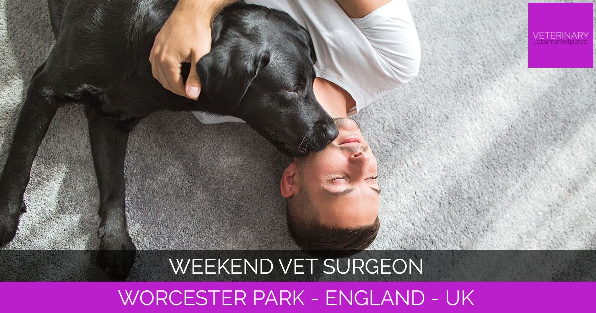 Weekend Vet Surgeon