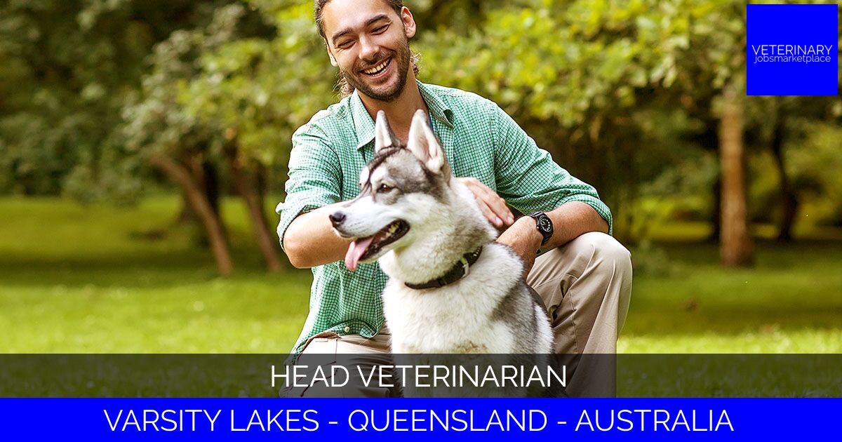 Head Veterinarian