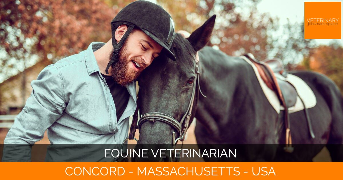 Equine Veterinarian