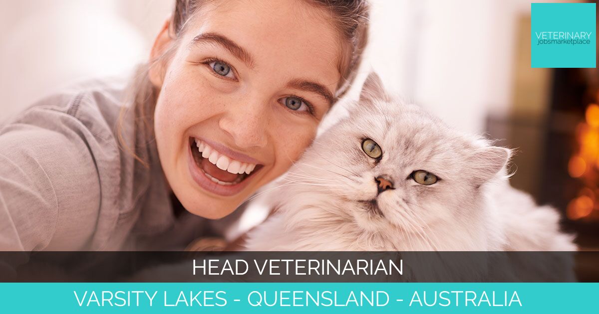 Head Veterinarian