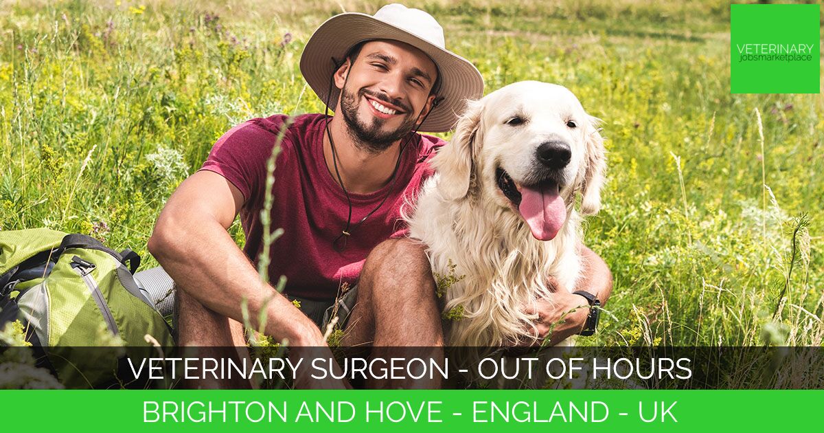 Veterinary Surgeon - Out of Hours