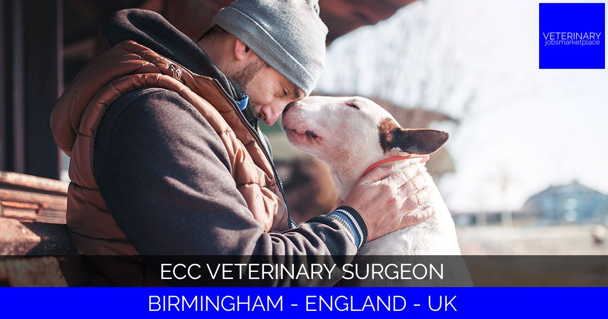 ECC Veterinary Surgeon