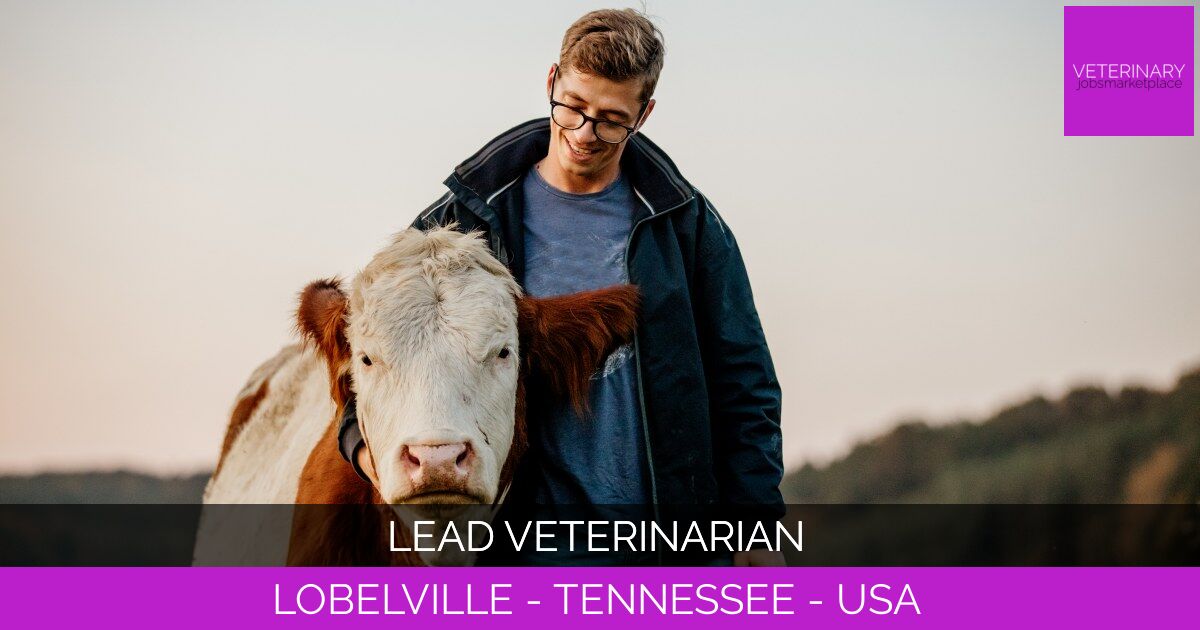 Lead Veterinarian