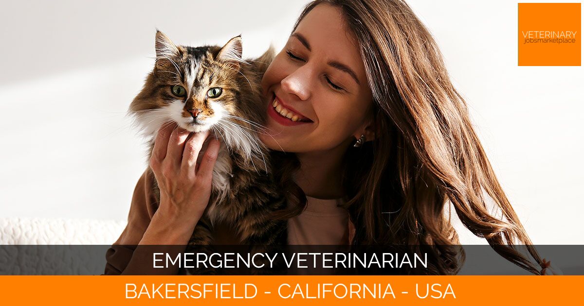Emergency Veterinarian