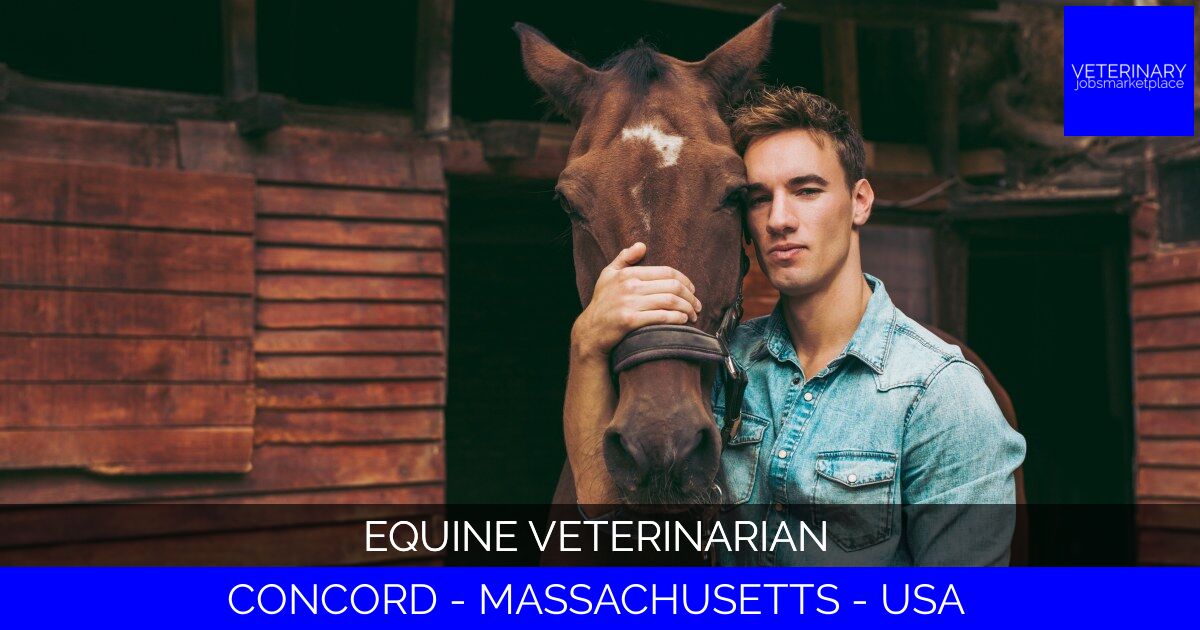 Equine Veterinarian