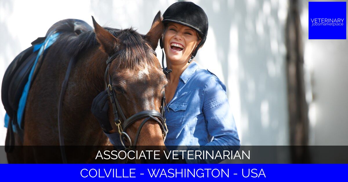 Associate Veterinarian