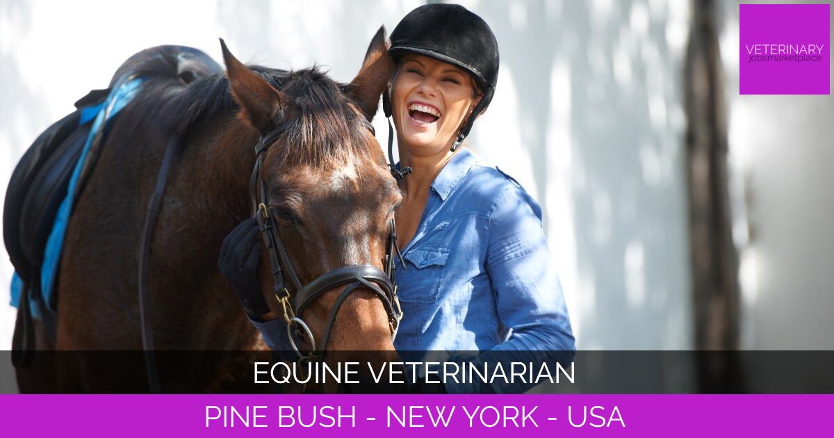 Equine Veterinarian