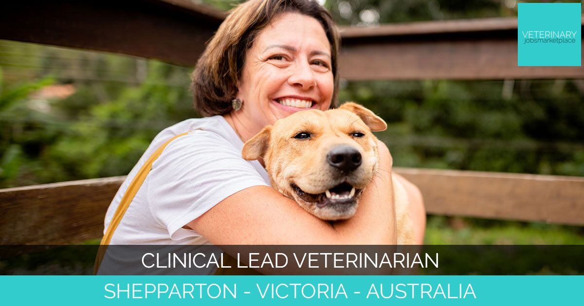 Clinical Lead Veterinarian