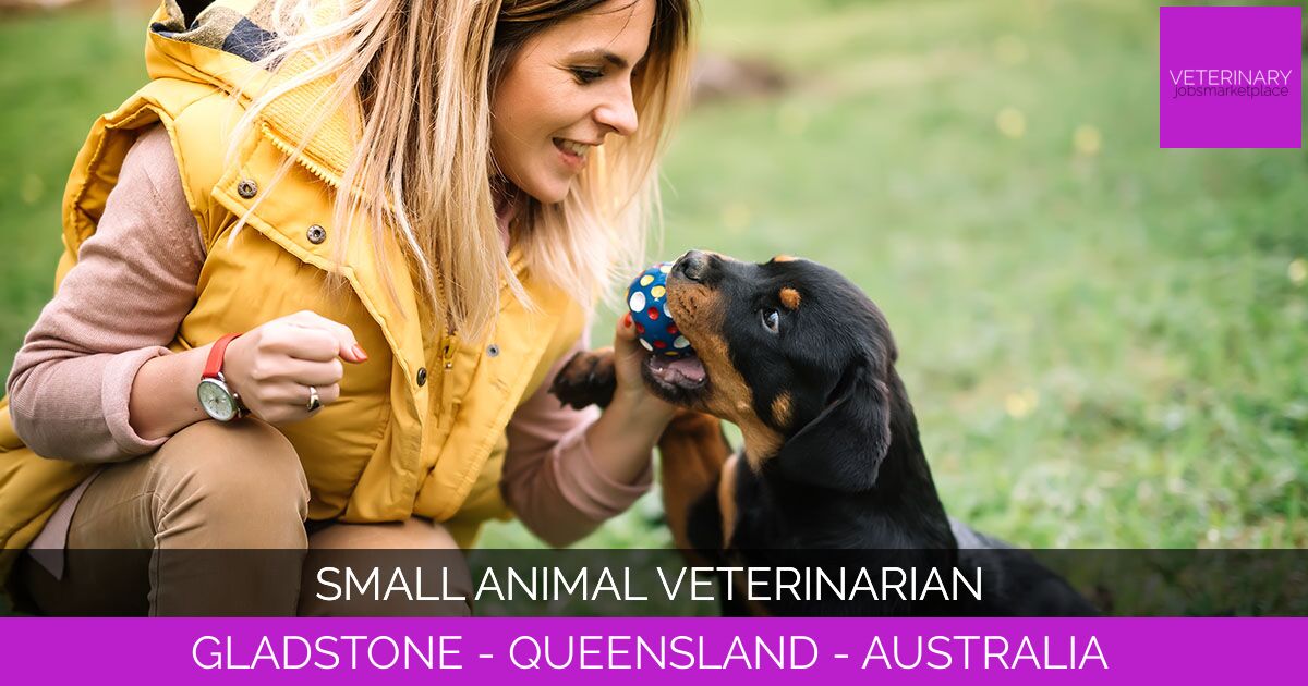 Small Animal Veterinarian