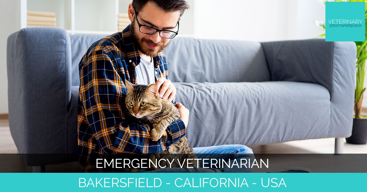 Emergency Veterinarian