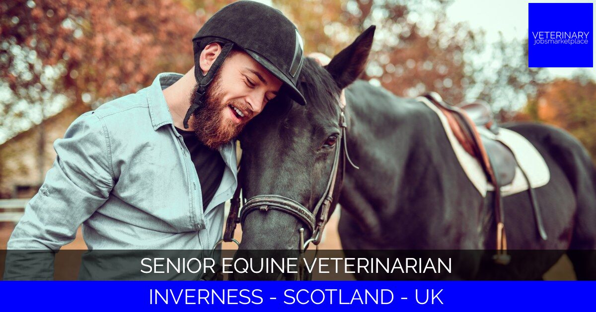 Senior Equine Veterinarian