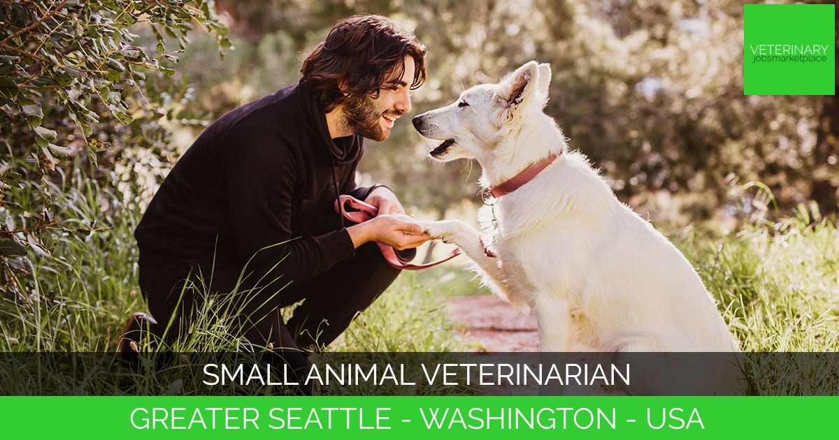 Small Animal Veterinarian