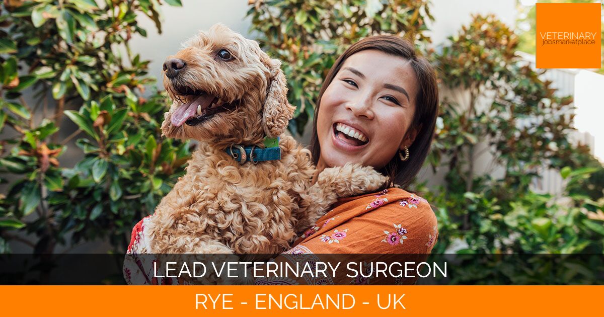 Lead Veterinary Surgeon
