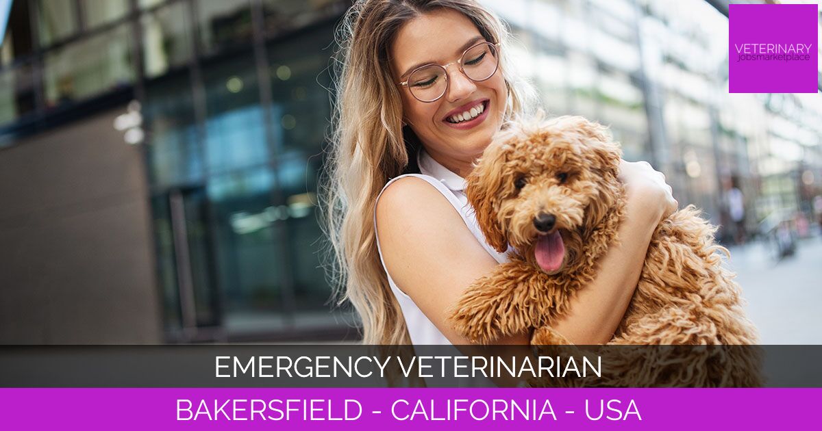 Emergency Veterinarian