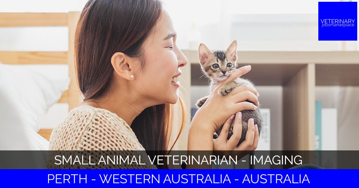 Small Animal Veterinarian - Imaging