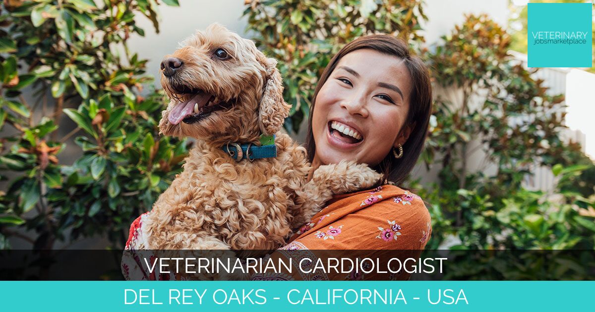 Veterinarian Cardiologist
