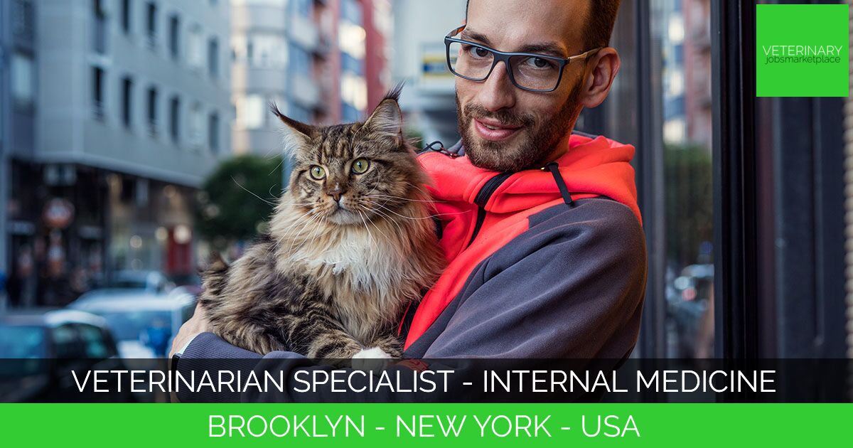 Veterinarian Specialist - Internal Medicine