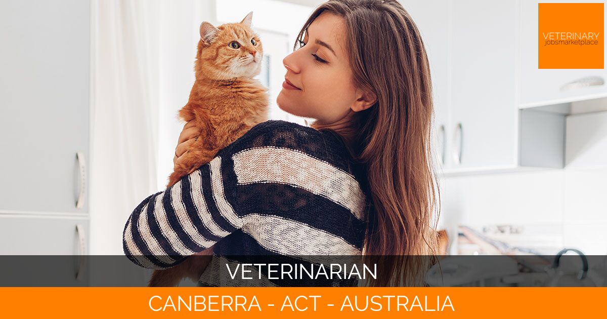 Veterinarian