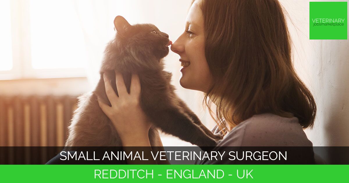 Small Animal Veterinary Surgeon