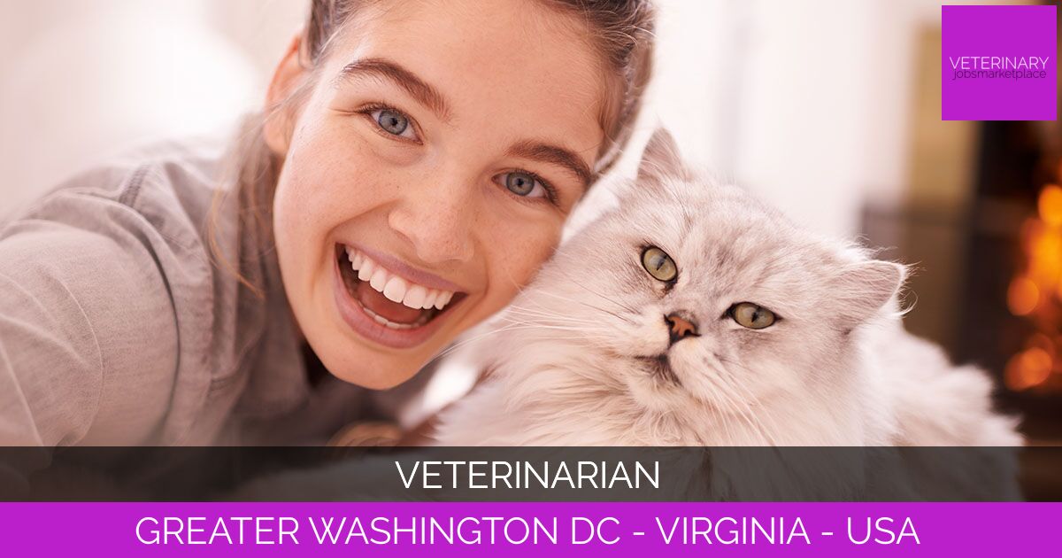 Veterinarian
