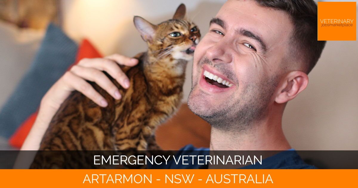 Emergency Veterinarian