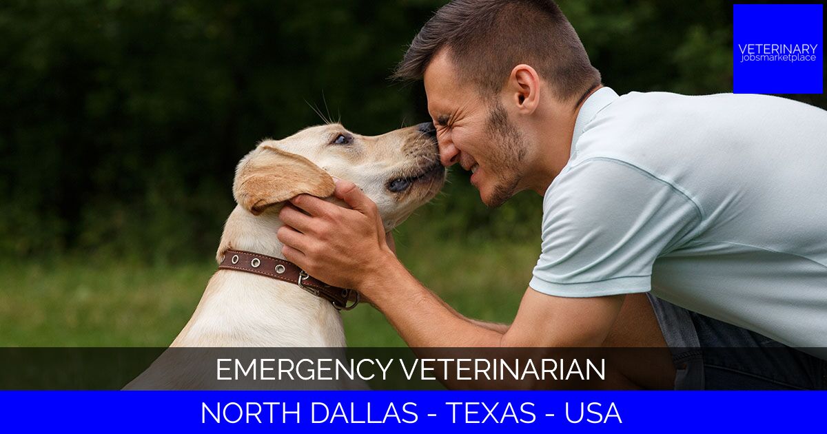 Emergency Veterinarian